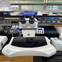 Zeiss Discovery.V12 STeREO Microscope image 0
